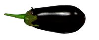 Eggplant