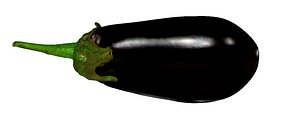 Eggplant