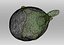 Eggplant