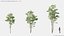 Modèles de plantes Vol 125 - Maillage