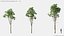 Modèles de plantes Vol 125 - Maillage