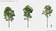 Modèles de plantes Vol 125 - Maillage