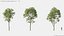 Modèles de plantes Vol 125 - Maillage