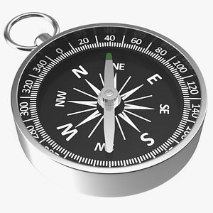 Compass in Steel Case
