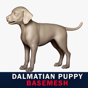 Dalmatian Puppy Base Mesh 3D model 3D model