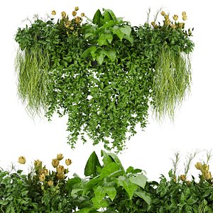 Collection plant vol 252 - Indoor - balcony - ampelous - 3dmax 3D model