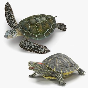 turtles rigged 3D model