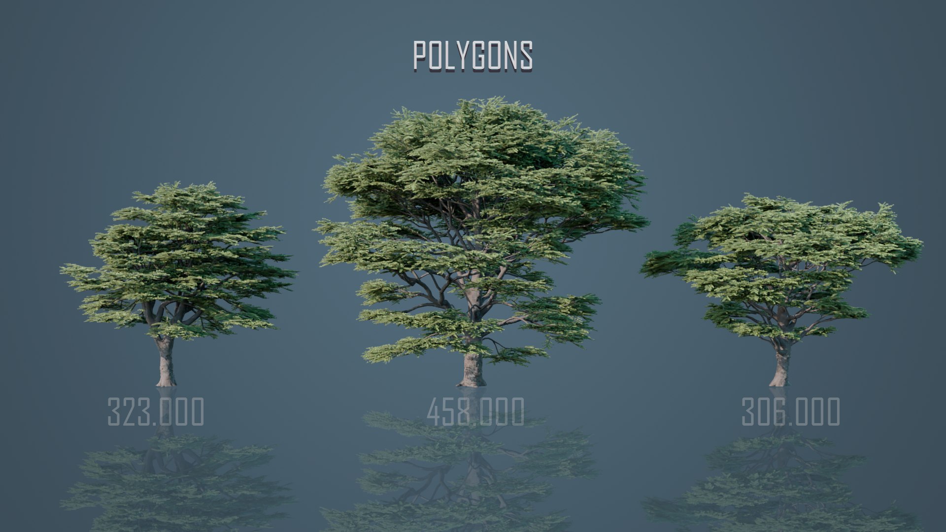 Cedrus Libani - Big Cedar Trees 3D model https://p.turbosquid.com/ts-thumb/Bm/5SvKAV/Lf/10/png/1636983115/1920x1080/fit_q87/63a239917699a6d25842713f9478a3bb04a831b4/10.jpg