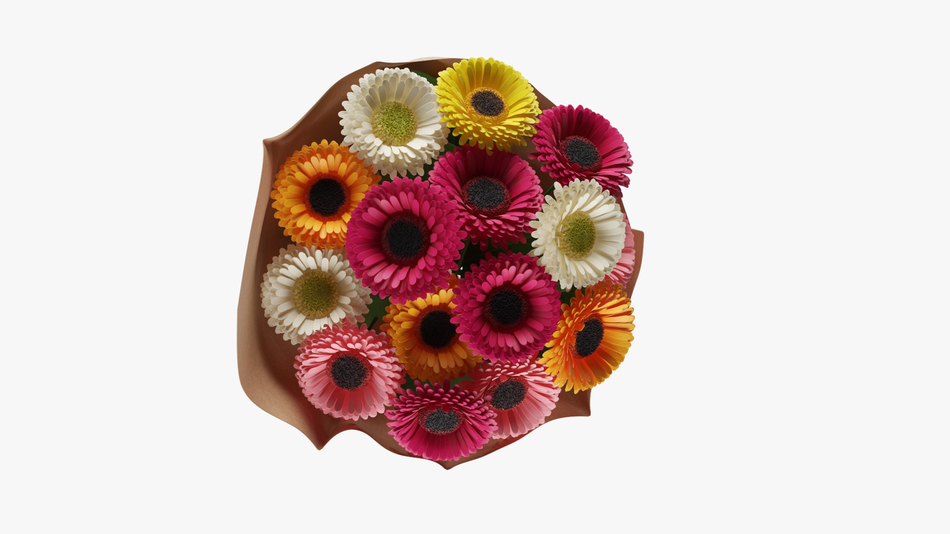 3D model Gerbera Bouquet https://p.turbosquid.com/ts-thumb/Bm/AfG345/FB/z04/jpg/1706043803/1920x1080/fit_q87/b0d55d39f50dbc4e943ce282e893662e1e954f40/z04.jpg
