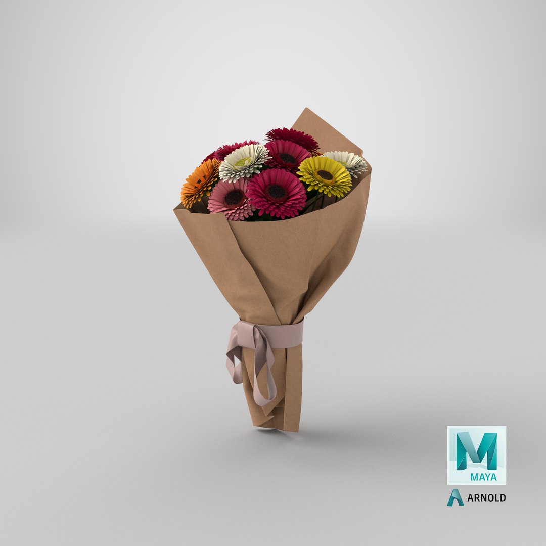 3D model Gerbera Bouquet https://p.turbosquid.com/ts-thumb/Bm/AfG345/i2/stemcell_maya_arnold_render/png/1711236810/1920x1080/fit_q87/918d805751662f9ae6d2c12579ef04a064992202/stemcell_maya_arnold_render.jpg