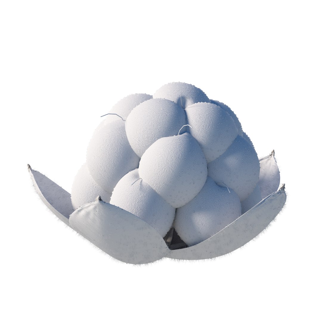 cloudberry fruit 3D model https://p.turbosquid.com/ts-thumb/Bm/C6oKaN/4h/11/png/1718332445/1920x1080/fit_q87/0fad4f0fe178d27ec37478b4a34cbb5d430803ae/11.jpg