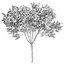 Árbol de hoja perenne decorativo de la calle del jardín