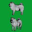 Cachorro Chow Chow