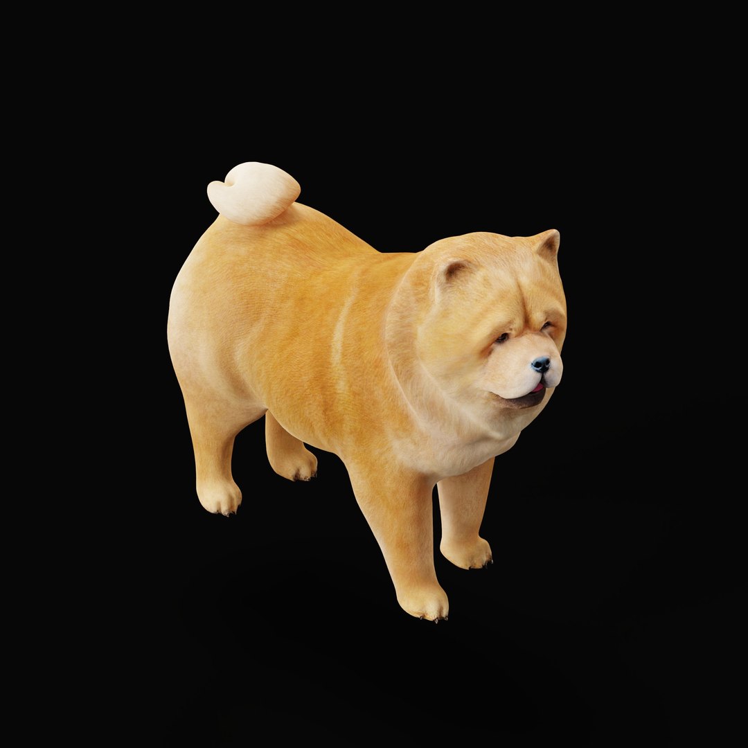 3D Chow Chow Dog https://p.turbosquid.com/ts-thumb/Bm/KNiFMS/7D/chowchowdogao_0006/jpg/1747519783/1920x1080/fit_q87/a0af3ab48621a51a35652230977d7728fad0873f/chowchowdogao_0006.jpg
