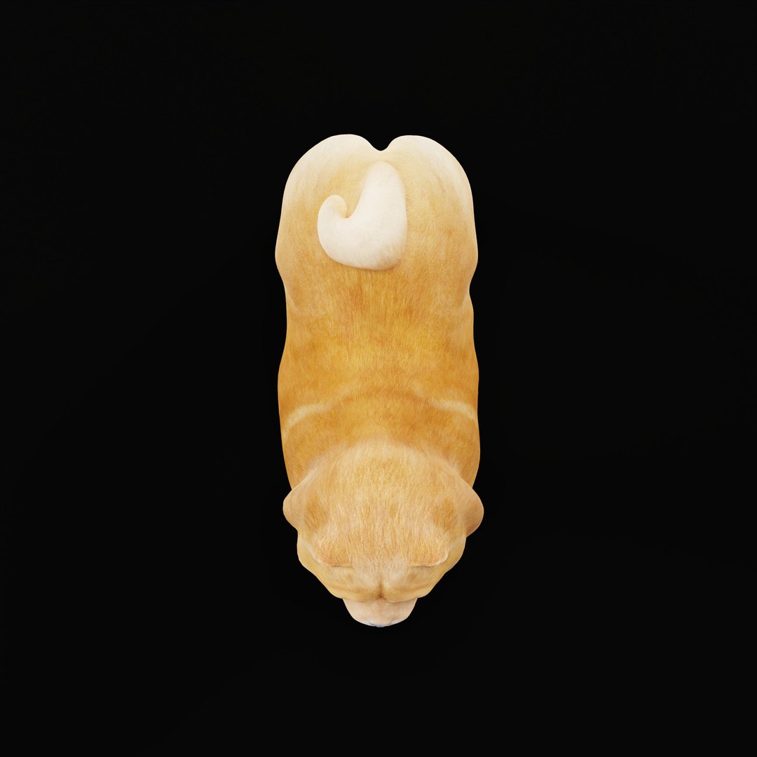 3D Chow Chow Dog https://p.turbosquid.com/ts-thumb/Bm/KNiFMS/Cb/chowchowdogao_0001/jpg/1747519781/1920x1080/fit_q87/e53de859918720dd73f7216a4eb081d7bcebb16e/chowchowdogao_0001.jpg