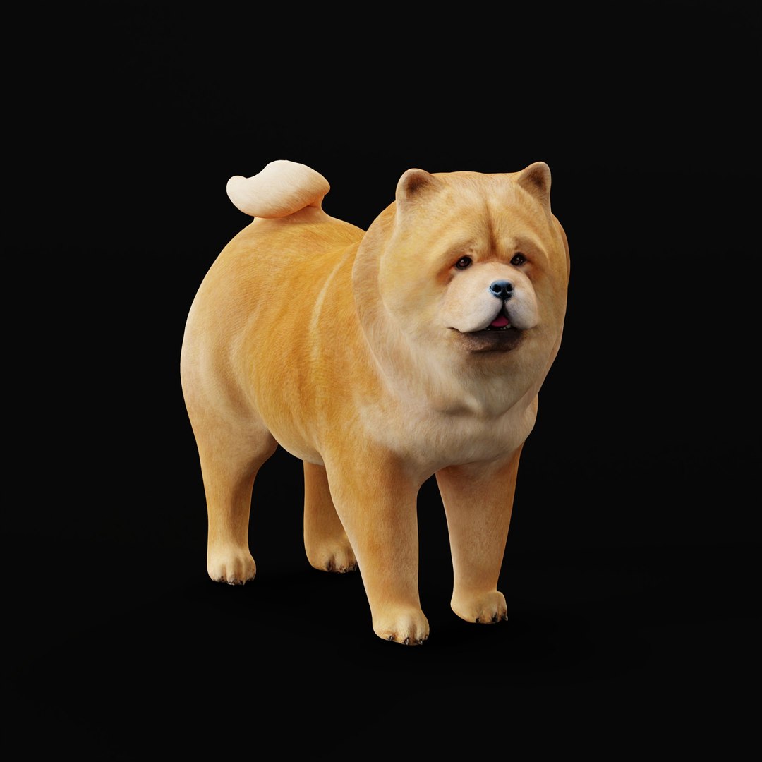 3D Chow Chow Dog https://p.turbosquid.com/ts-thumb/Bm/KNiFMS/It/chowchowdogao_0003/jpg/1747519781/1920x1080/fit_q87/5f741e0bef9531d8dd67bf63ce3dab338f6109ac/chowchowdogao_0003.jpg