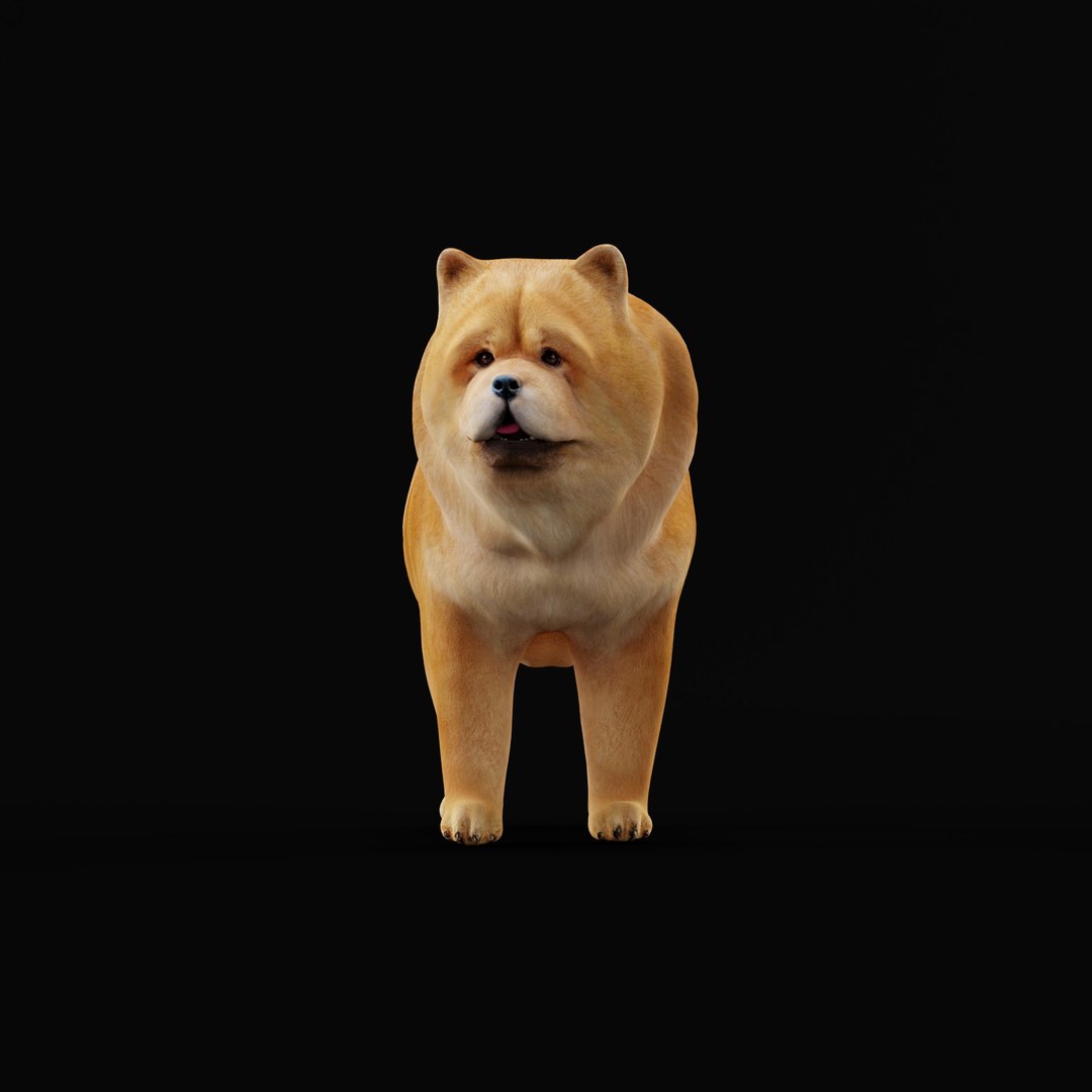 3D Chow Chow Dog https://p.turbosquid.com/ts-thumb/Bm/KNiFMS/ZG/chowchowdogao_0004/jpg/1747519782/1920x1080/fit_q87/406abab6d26bef72632fbb2e914129f4c4e7a4b3/chowchowdogao_0004.jpg
