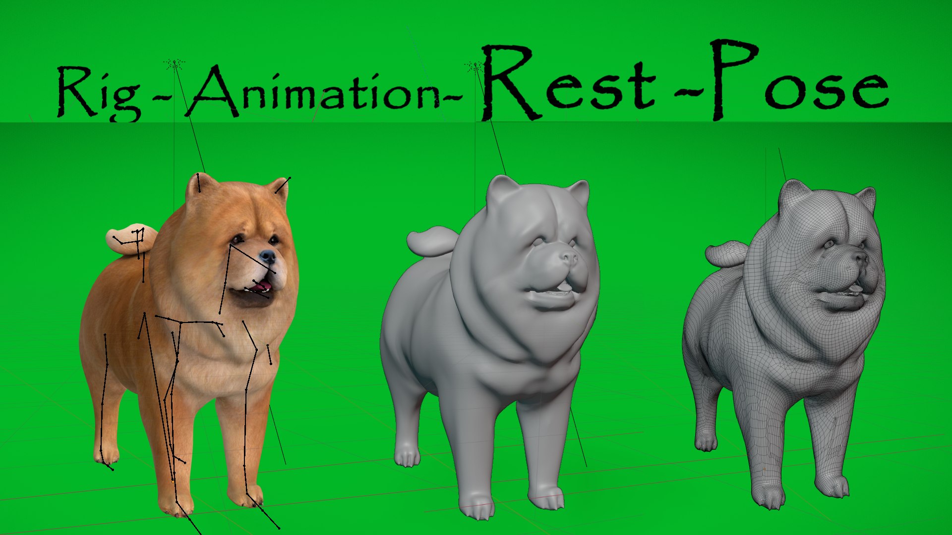 3D Chow Chow Dog https://p.turbosquid.com/ts-thumb/Bm/KNiFMS/a6/animals_3d_c/png/1747519744/1920x1080/fit_q87/2f00b0b4aa33123a171aeec57a400a64fc93b333/animals_3d_c.jpg