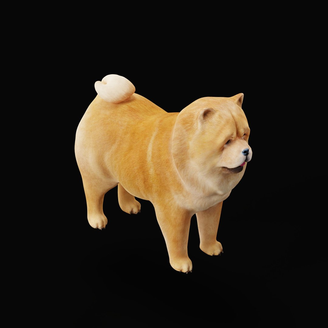 3D Chow Chow Dog https://p.turbosquid.com/ts-thumb/Bm/KNiFMS/o3/chowchowdogao_0007/jpg/1747519783/1920x1080/fit_q87/e64d4c4ec271bf75bea19435131b9a08eef8c7dd/chowchowdogao_0007.jpg