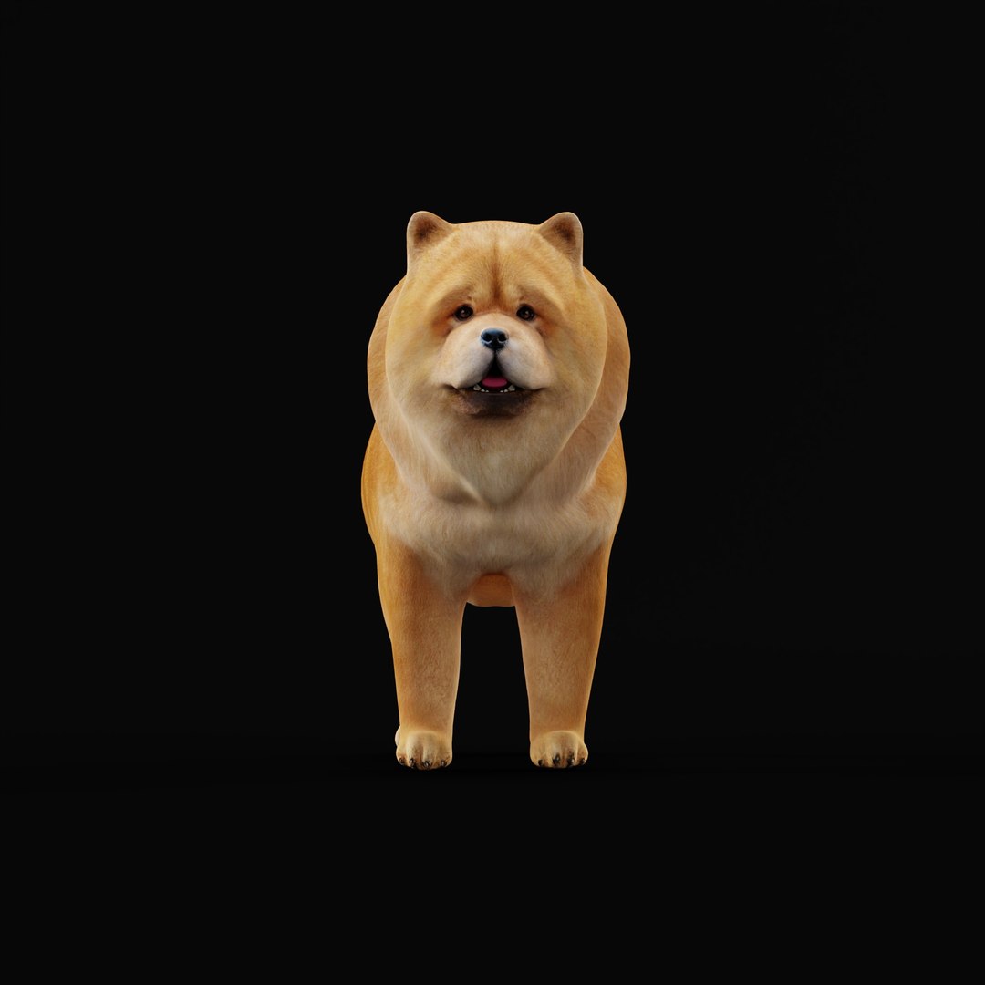 3D Chow Chow Dog https://p.turbosquid.com/ts-thumb/Bm/KNiFMS/rf/chowchowdogao_0000/jpg/1747519780/1920x1080/fit_q87/363e10a5a8884b7b1d2ccf902a0439f5c95afcf2/chowchowdogao_0000.jpg