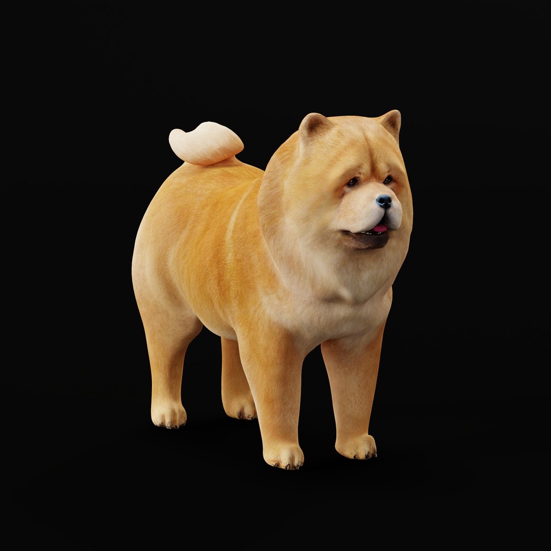 3D Chow Chow Dog https://p.turbosquid.com/ts-thumb/Bm/KNiFMS/w3/chowchowdogao/jpg/1747519779/1920x1080/fit_q87/b71daab62faa4161da9eb7130b59a702094fc509/chowchowdogao.jpg