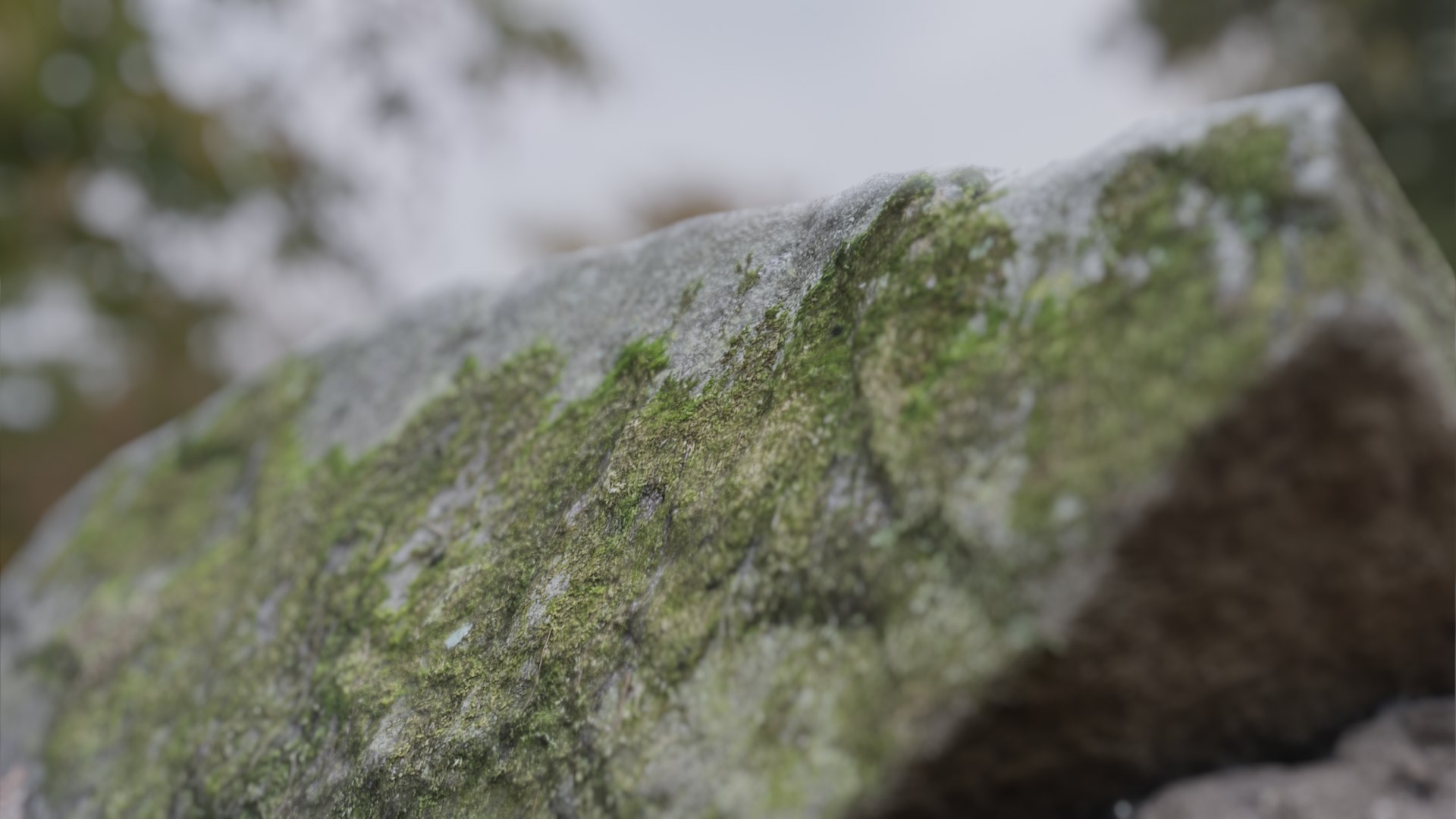 3D 4 Types Of Moss Rock Set TurboSquid 1853170