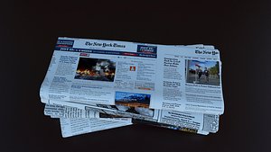 max newspaper news paper