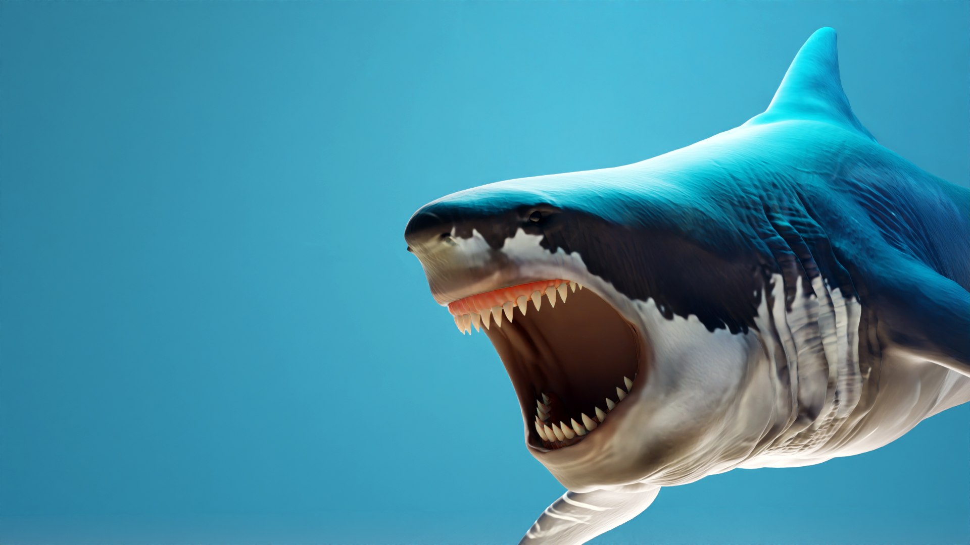 3D Shark 3d Model model https://p.turbosquid.com/ts-thumb/Bm/xnyUKl/IQ/thumb/jpg/1736093700/1920x1080/fit_q87/9f31b66ba33cf0c61b429cdb7932f724fe6ee765/thumb.jpg