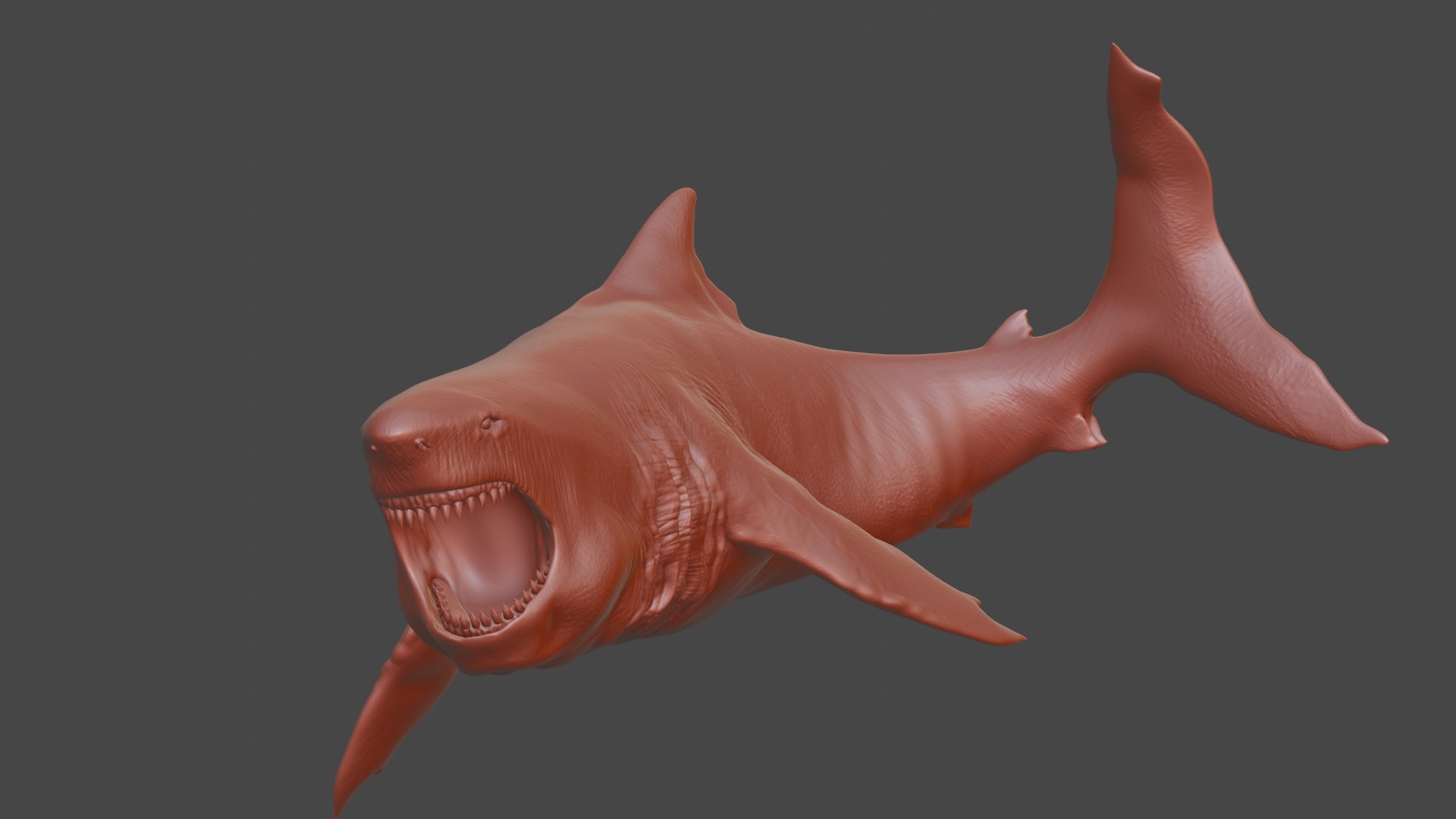 3D Shark 3d Model model https://p.turbosquid.com/ts-thumb/Bm/xnyUKl/Zg/clay/jpg/1736093673/1920x1080/fit_q87/ac71f58551d440fe530771d3f9c8f84ec3bcf7d4/clay.jpg