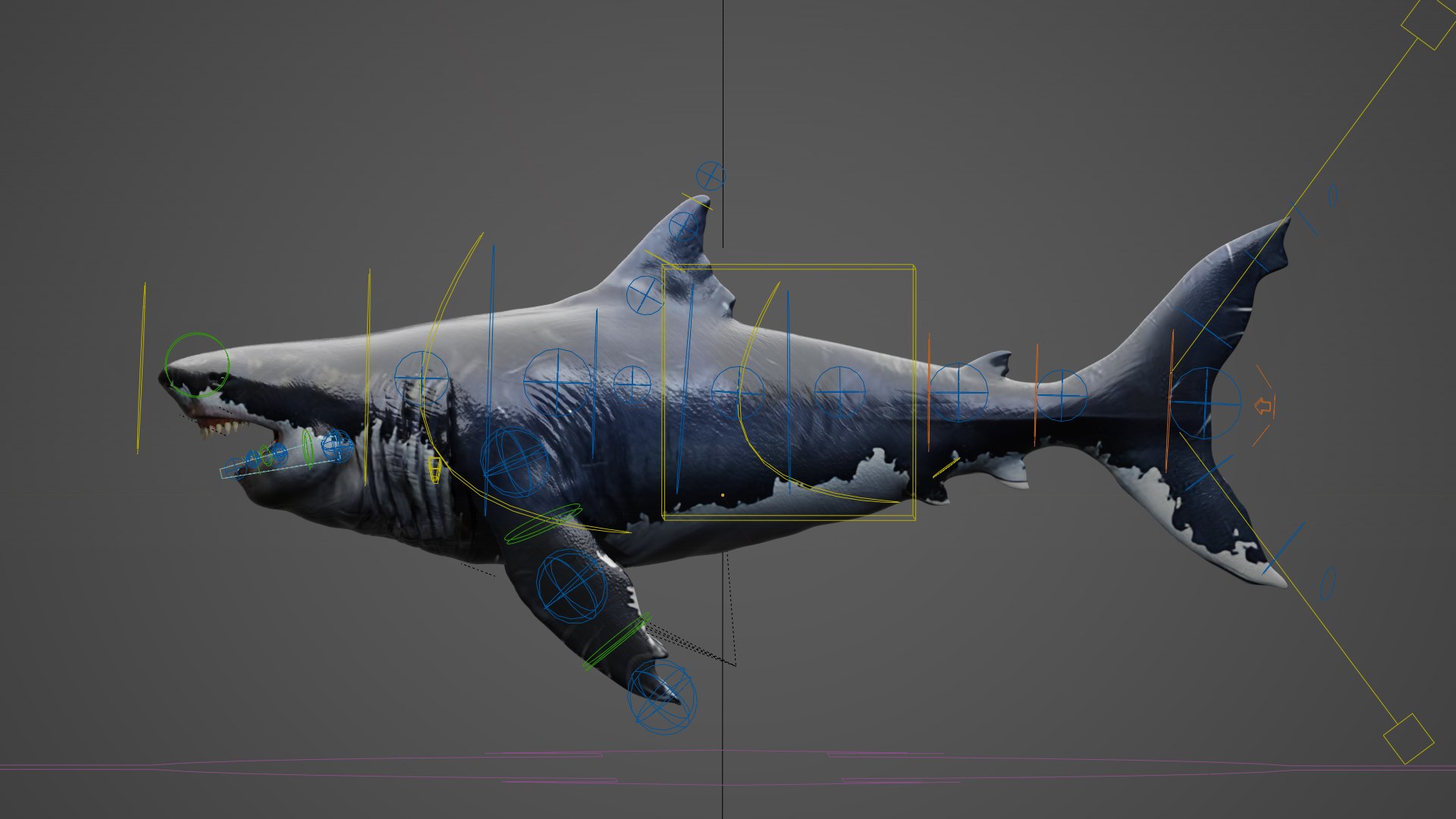 3D Shark 3d Model model https://p.turbosquid.com/ts-thumb/Bm/xnyUKl/pL/rig/jpg/1736093695/1920x1080/fit_q87/3c46bded91ba386e3b037ceea147b43f906445cf/rig.jpg