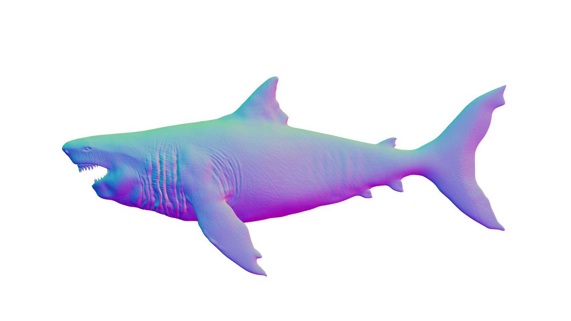 3D Shark 3d Model model https://p.turbosquid.com/ts-thumb/Bm/xnyUKl/px/norm/png/1736093699/1920x1080/fit_q87/8e5b66179dab52e00111e7208b5b2885ccca8e09/norm.jpg
