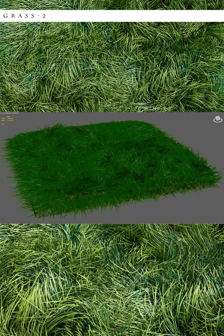 3d Model Grass 2