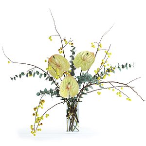 realistic flowers anthuriums crabapple 3D model