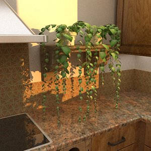 3D Hanging Plant