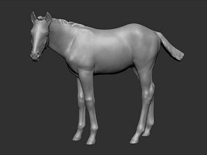 Horse Foal Pose
