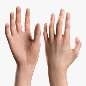 V-ARM 05 Realistic Neutral Hands and Arms 3D model