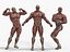 Anatomia - Modelo 3D de baixa poligonagem de músculos e órgãos