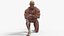 Anatomia - Modelo 3D de baixa poligonagem de músculos e órgãos