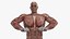Anatomia - Modelo 3D de baixa poligonagem de músculos e órgãos