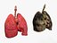 Anatomia - Modelo 3D de baixa poligonagem de músculos e órgãos