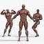 Anatomia - Modelo 3D de baixa poligonagem de músculos e órgãos