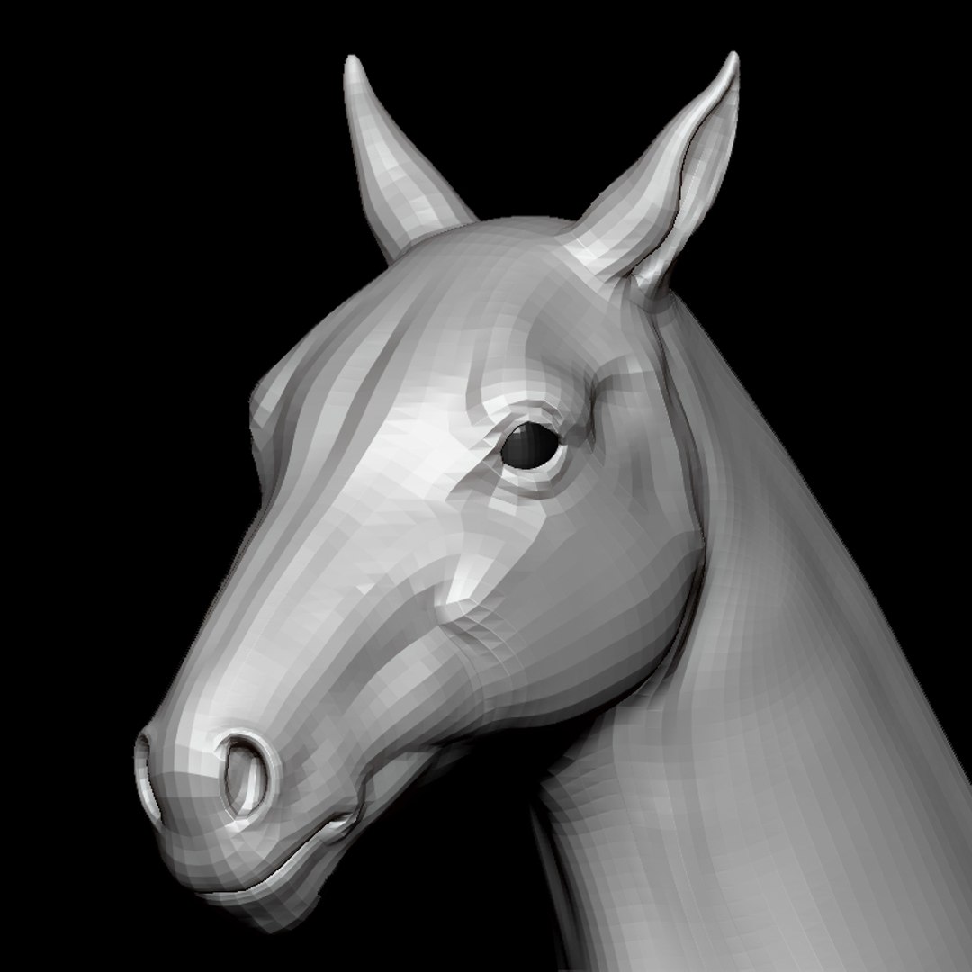 3D Horse Head Base Mesh - TurboSquid 1427684