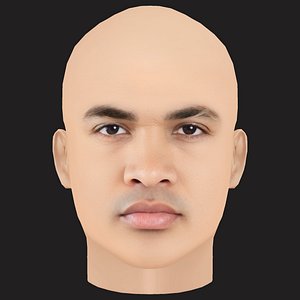 Low Poly Joyner Lucas Rapper Head