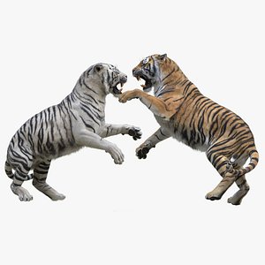 3D Tiger RIGGED collection