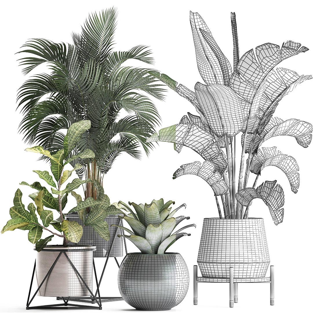 Houseplants Plants Potted 3D - TurboSquid 1501324