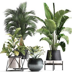 houseplants plants potted 3D