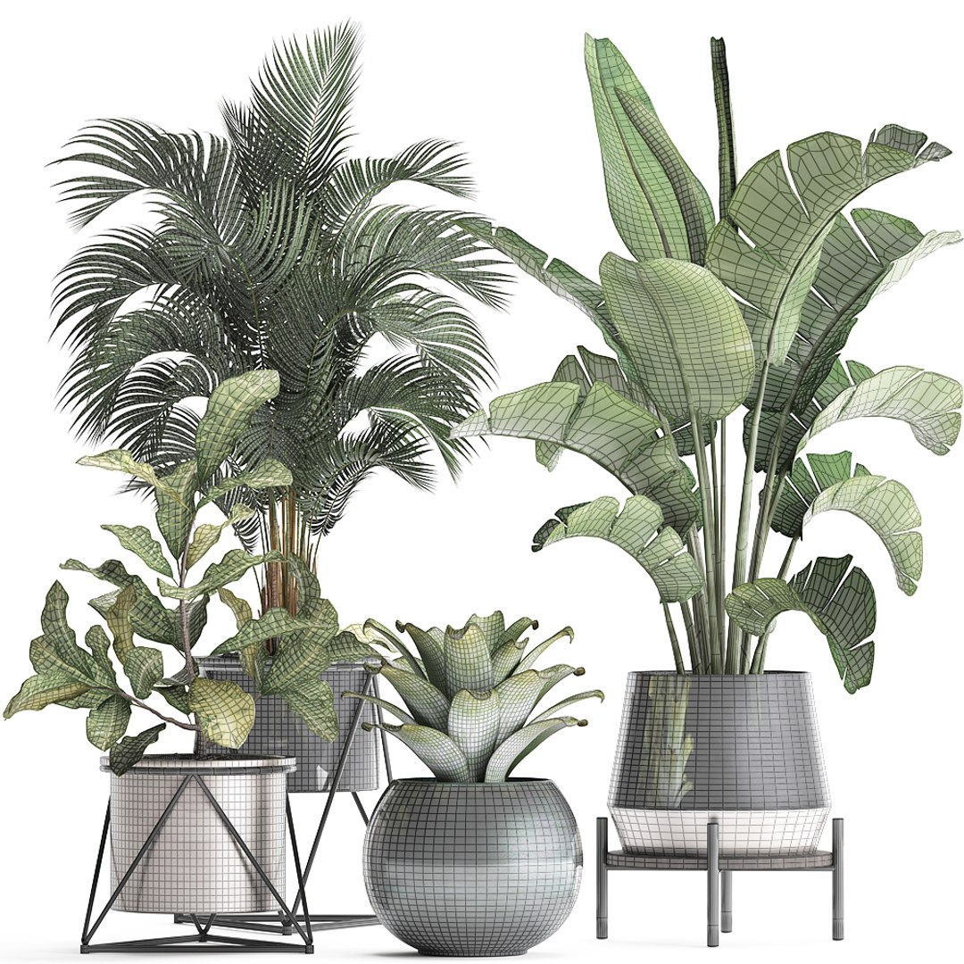 Houseplants Plants Potted 3D - TurboSquid 1501324