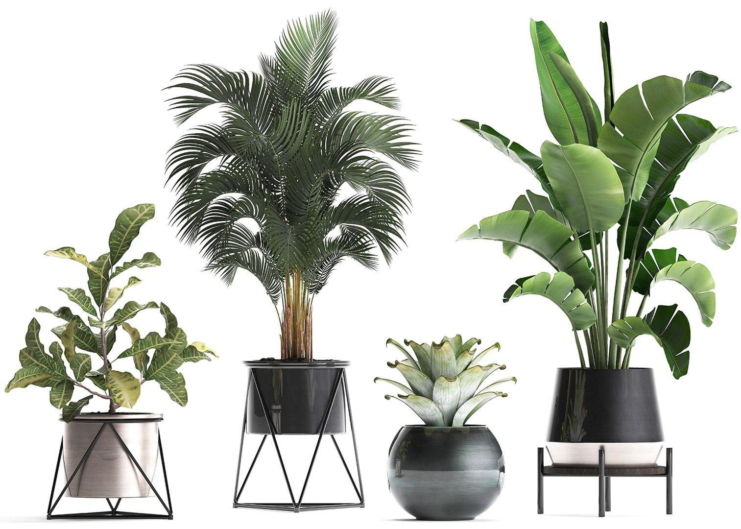 Houseplants Plants Potted 3D - TurboSquid 1501324