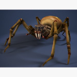 3d model spider-foulbrood
