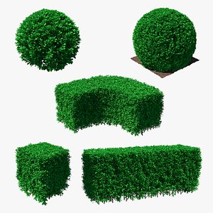 3D decorative shrubs 2